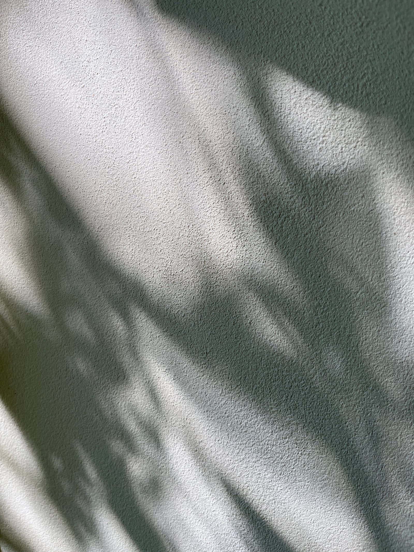 Grünlicher Kalkputz mit Blattschatten-Abdruck, feine Körnung, Außenwandputz