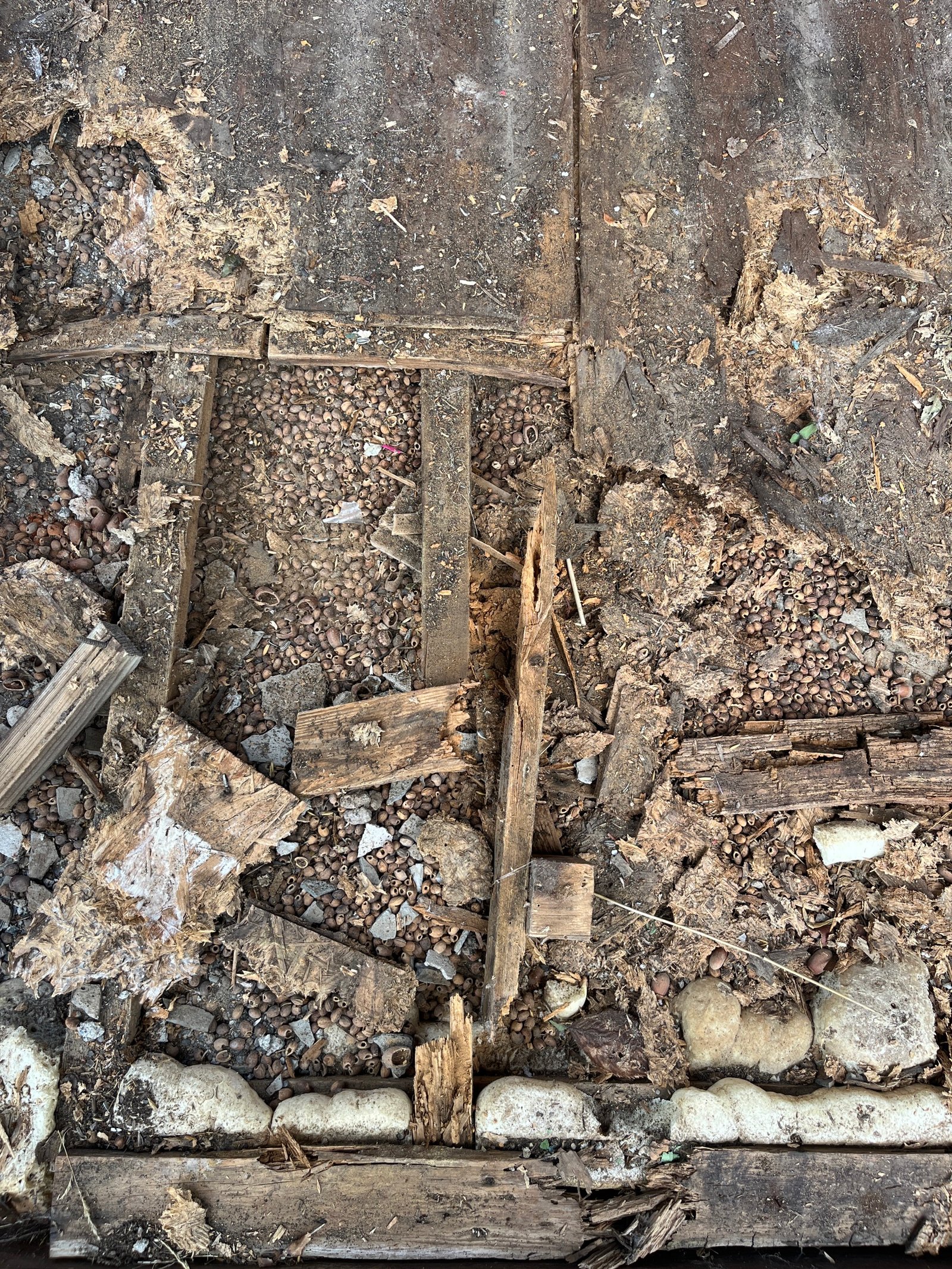 Gartenhaus-Außenwand: alte Bretter und Wandverkleidung, Sanierungsbeginn