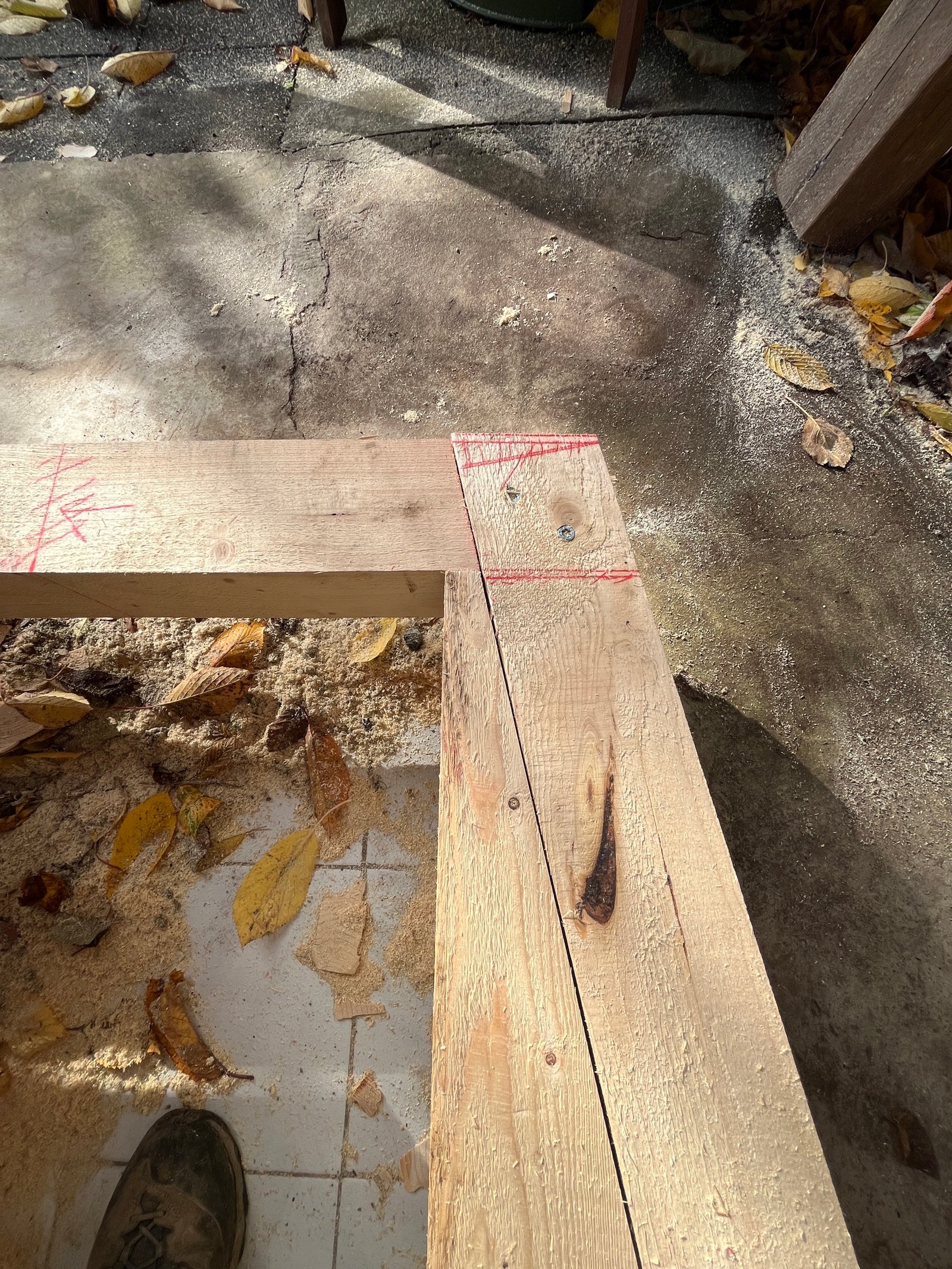 Gartenhaus-Dachstuhl: Holzkonstruktion von innen, Sparren und Pfetten sichtbar