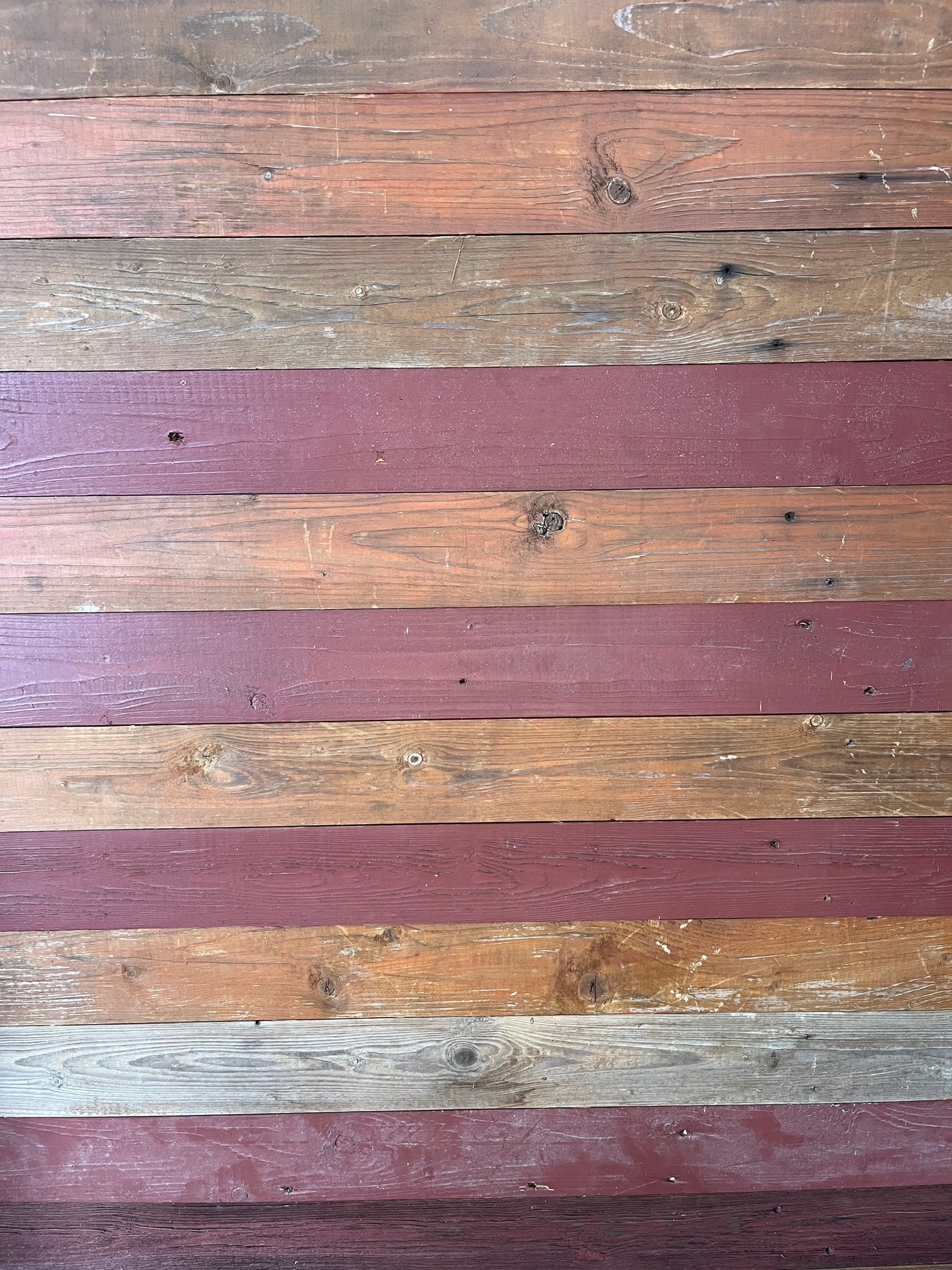 Gartenhaus-Außenwand: Holzschalung, Dachüberstand und Gartenpflanzen