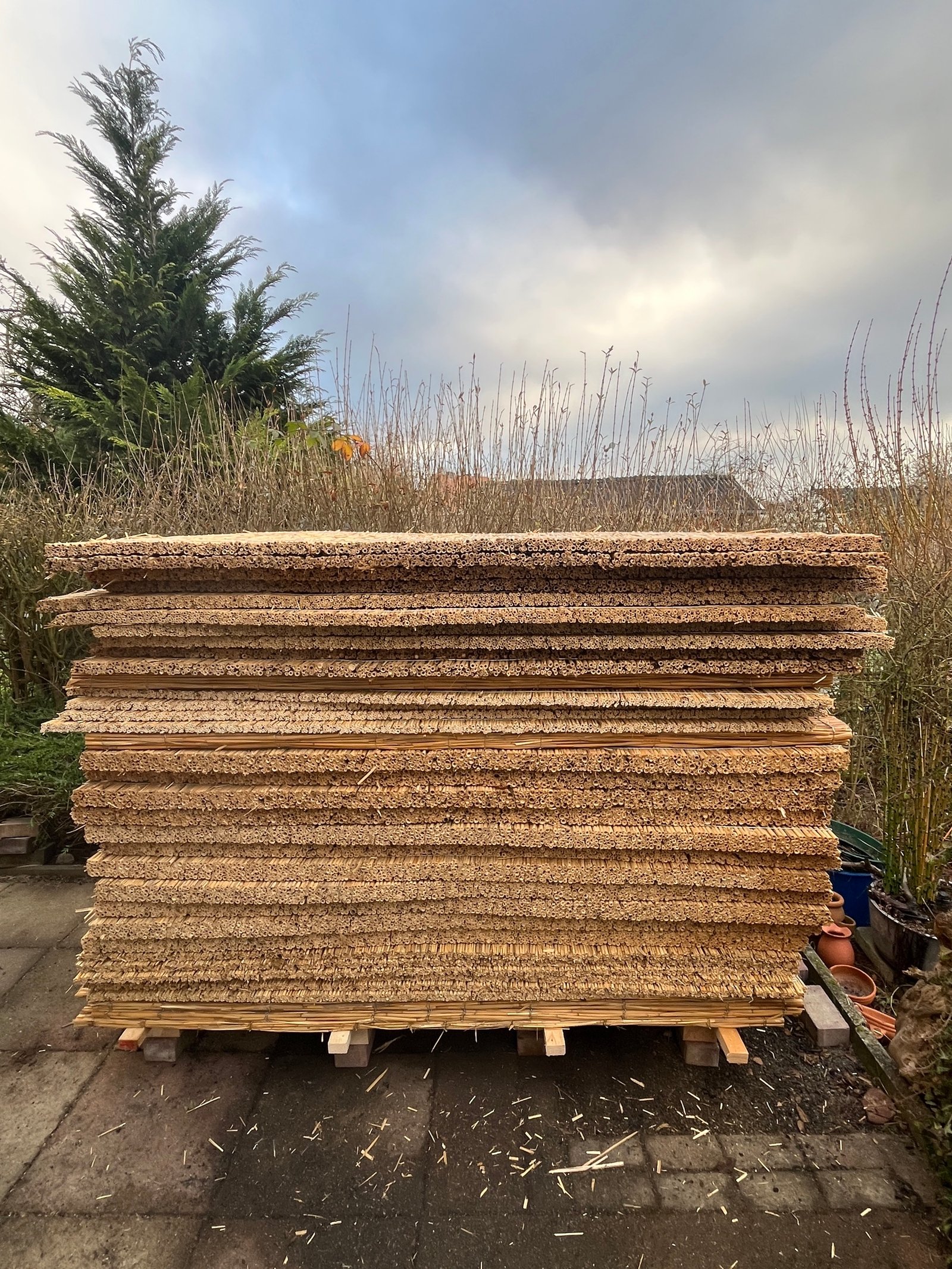 Gartenhaus-Dachdetail: Schilfrohrmatten als Putzträger, Holzrahmen, Dachfenstereinbau