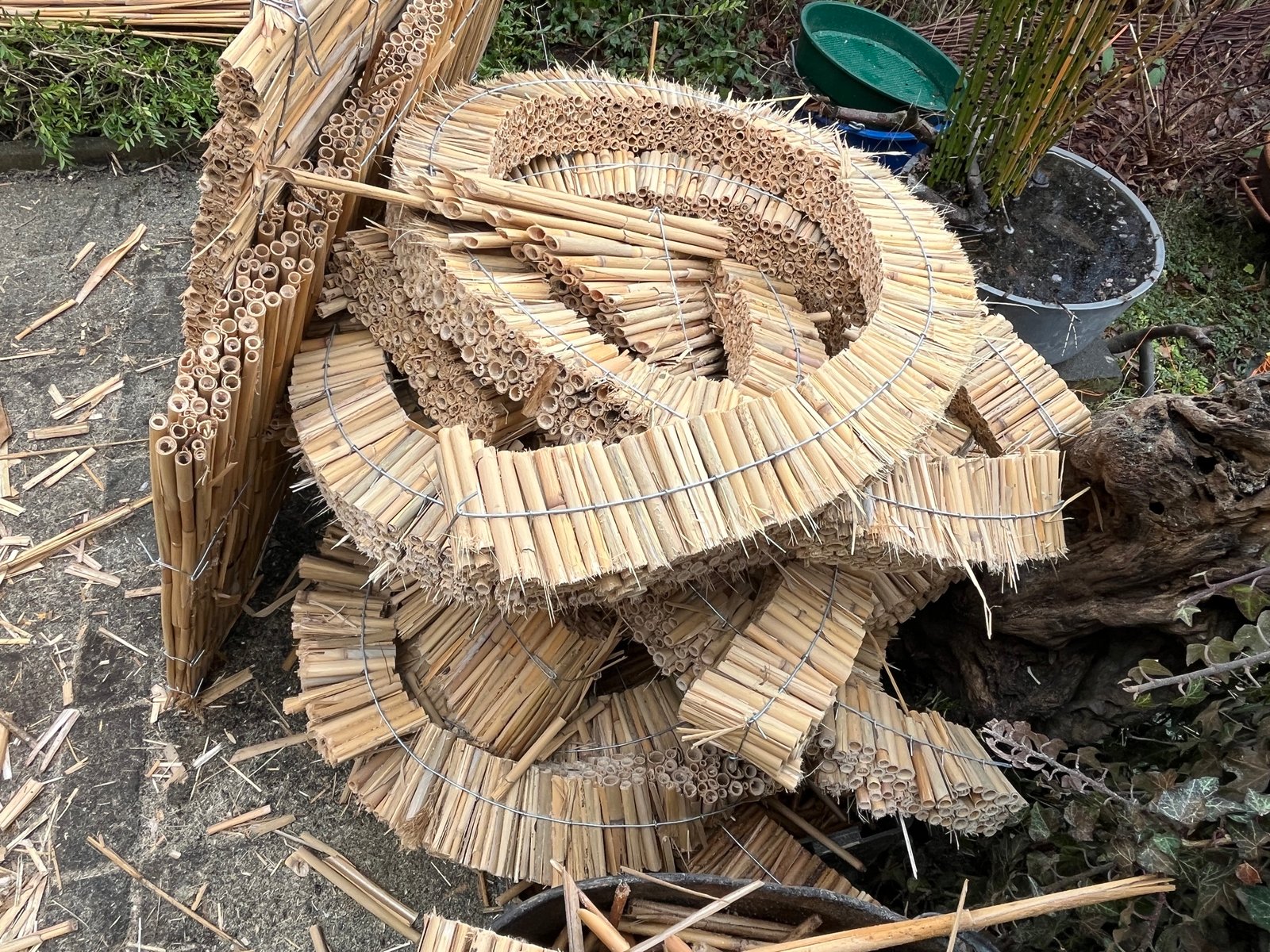 Gartenhaus-Innenraum Winter: eingebautes Fenster, Schilfrohrwände, Schnee außen