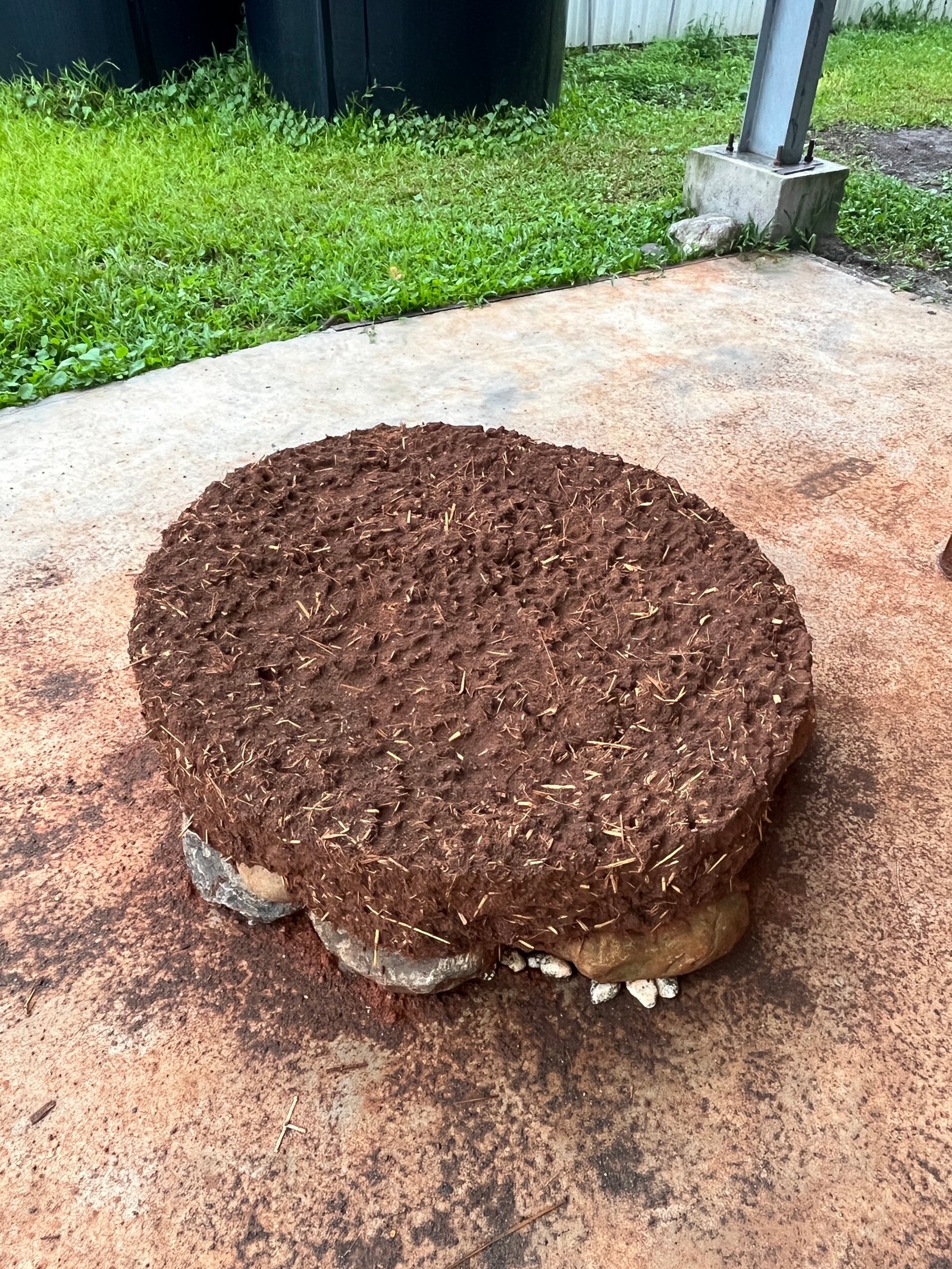 Lehmkugel mit Stroh geformt, rundes Objekt auf rotem Untergrund, Taiwan